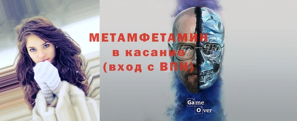 хмурый Алексин