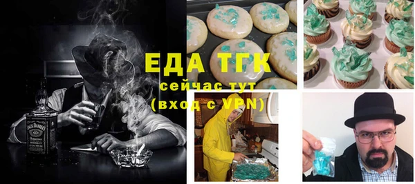 хмурый Алексин