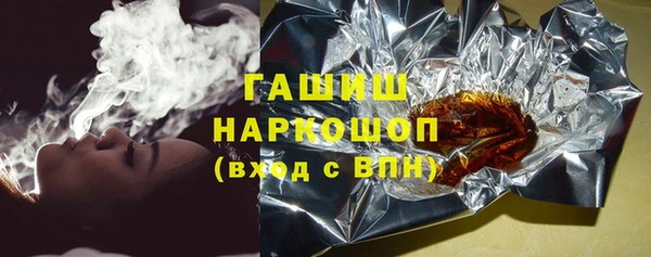хмурый Алексин