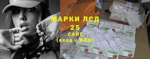хмурый Алексин
